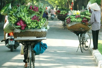 Good Morning Hanoi (Daily)